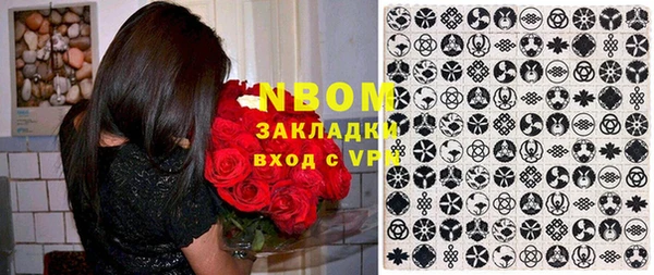 гашик Алексин