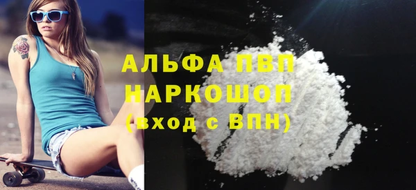 гашик Алексин