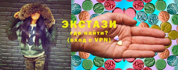 гашик Алексин