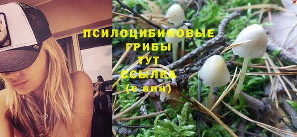сатива Алексеевка
