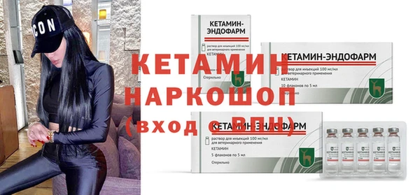 гашик Алексин