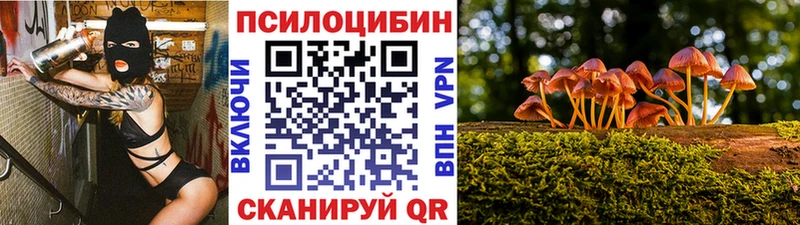 Псилоцибиновые грибы Psilocybe kraken ТОР Сарапул где найти